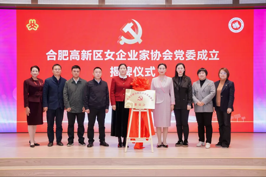 功能型党委.png 功能型党委.png
