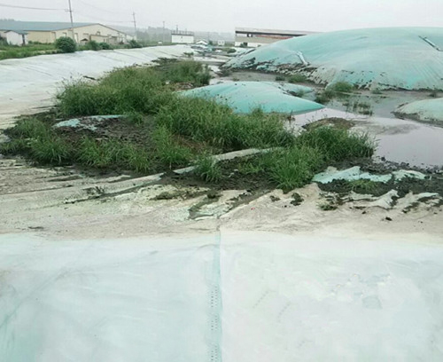 图木舒克粪池清理